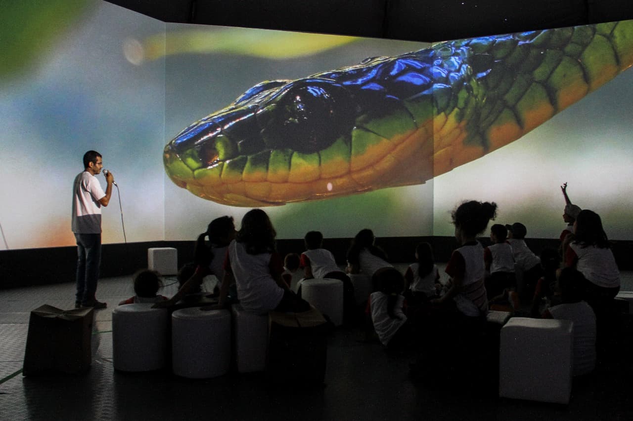 Foto da exposição Uma Fina Camada - 1ª Edição