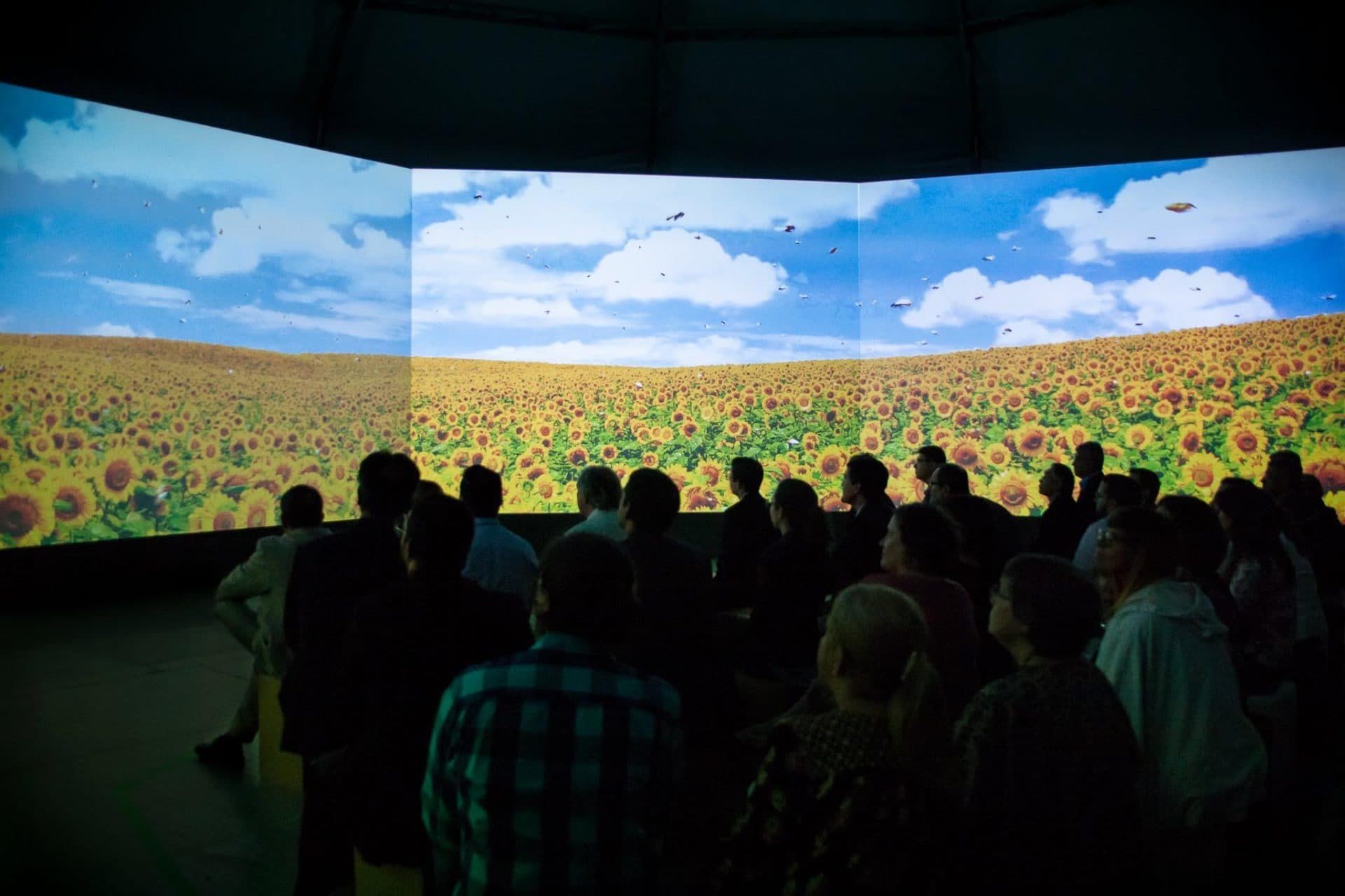 Foto da exposição Uma Fina Camada - 2ª Edição