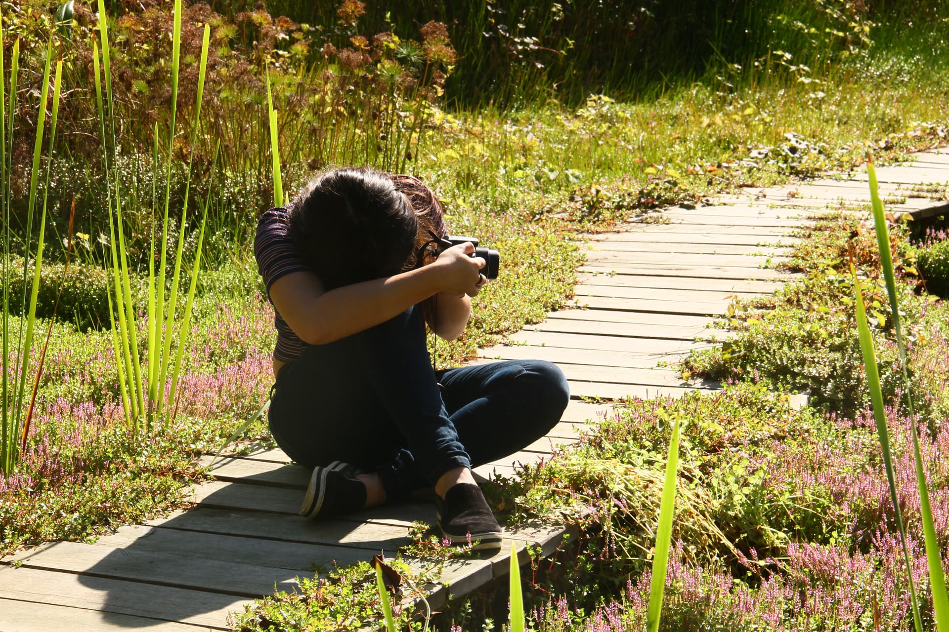 Foto da exposição Jovens Artistas da Biodiversidade
