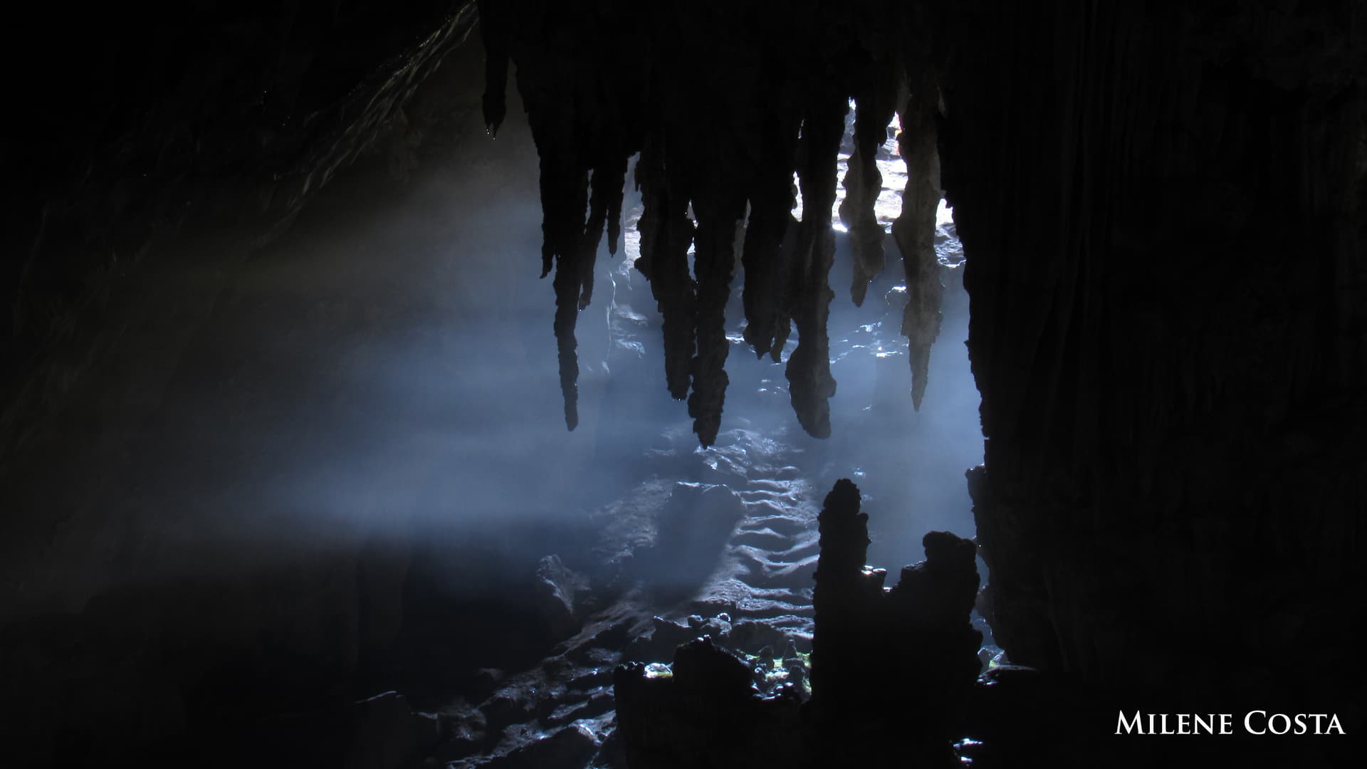 Foto da exposição Jovens Artistas da Biodiversidade