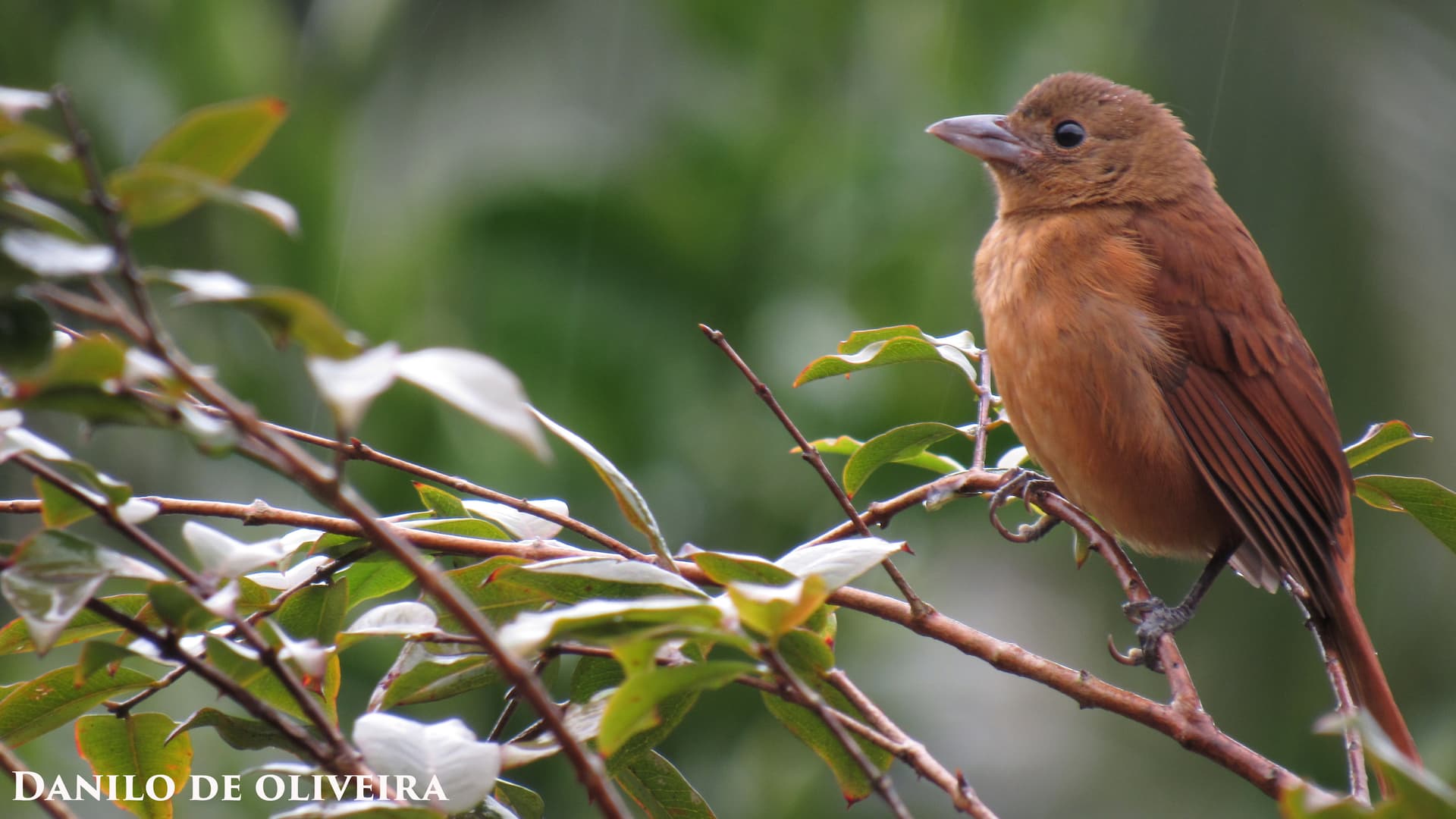 Foto da exposição Jovens Artistas da Biodiversidade