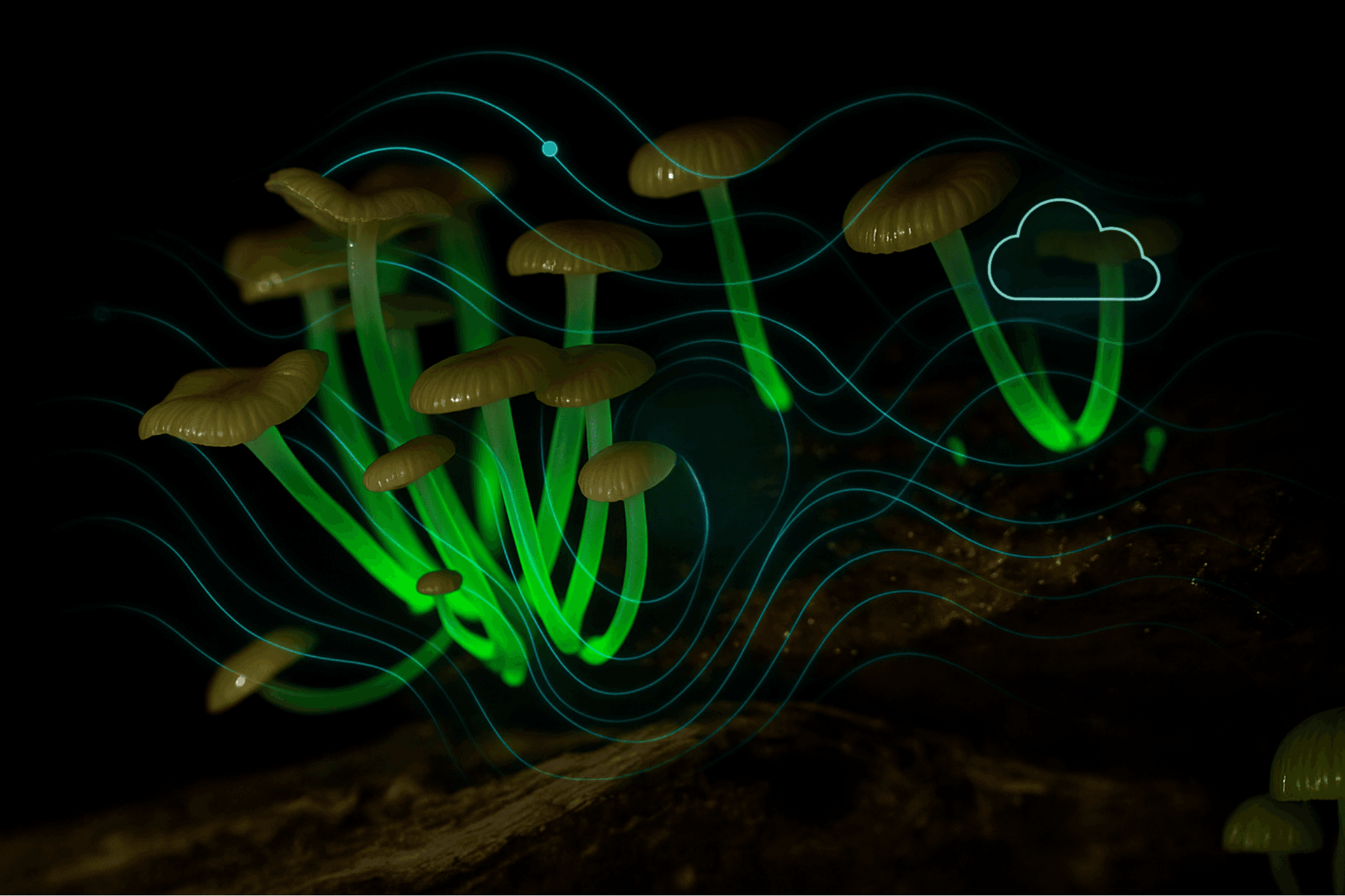 Downloads Gratuitos.