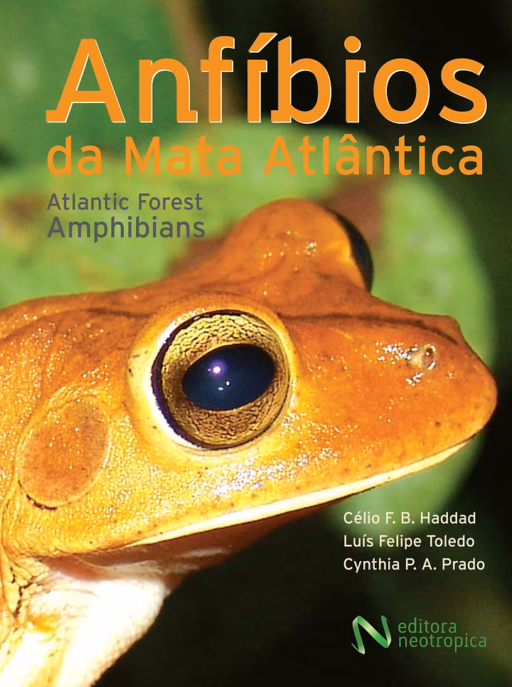 Anfíbios da Mata Atlântica