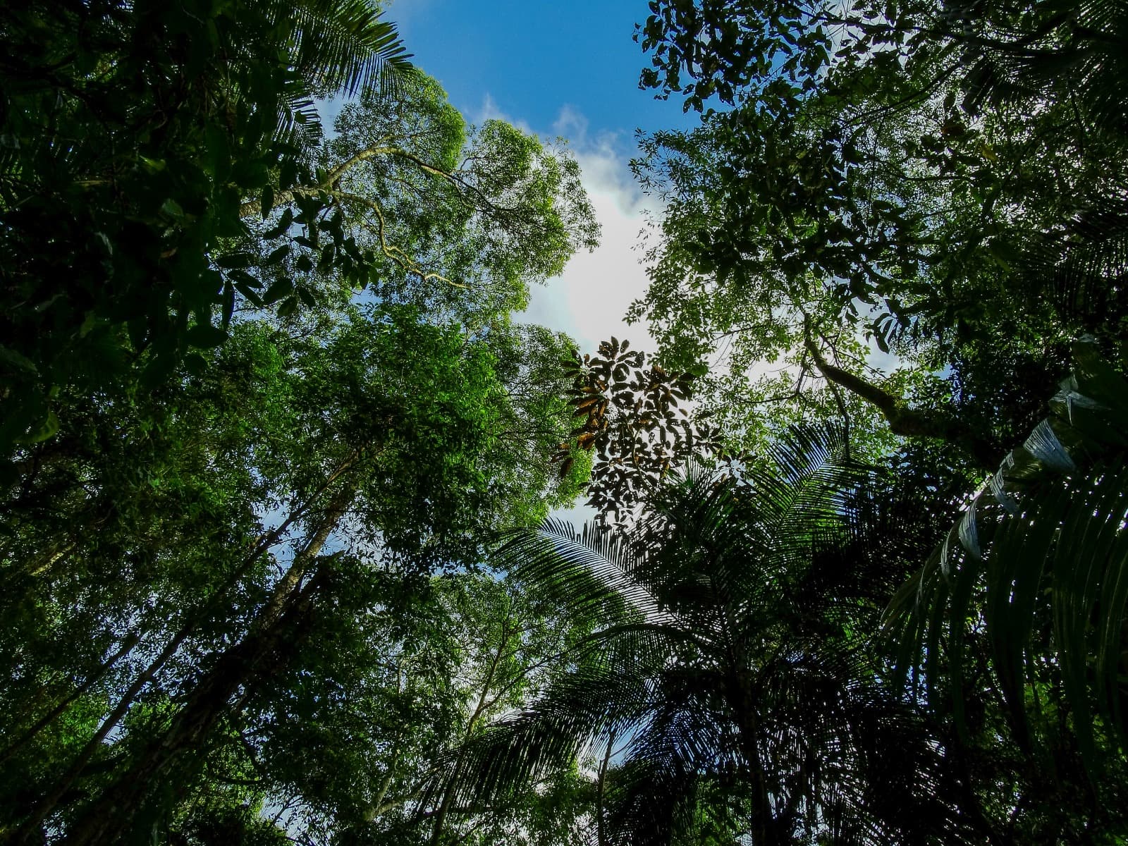 Política de Privacidade da Editora Neotropica