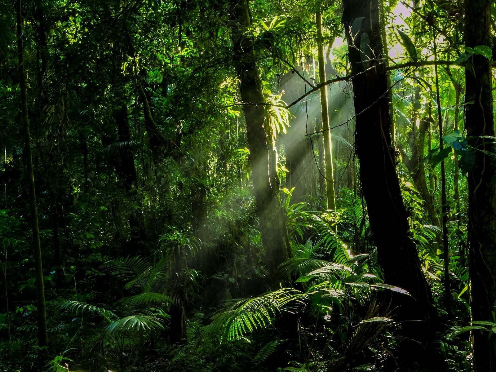 Política de troca e devoluções da Editora Neotropica